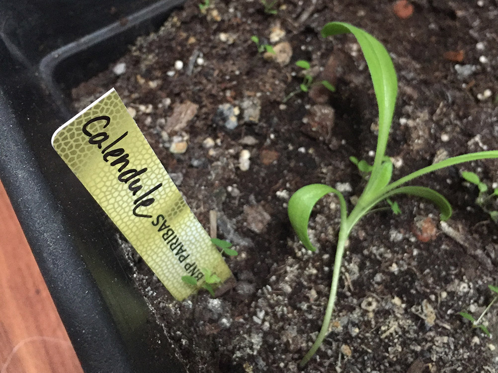 Carte récupérée pour en faire une étiquette