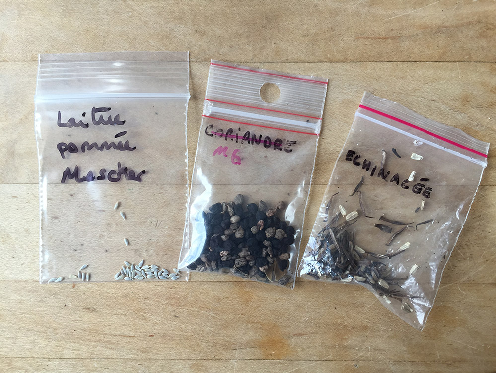 Sachets de graines récupération